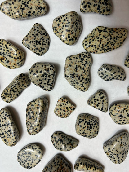 Dalmation Jasper