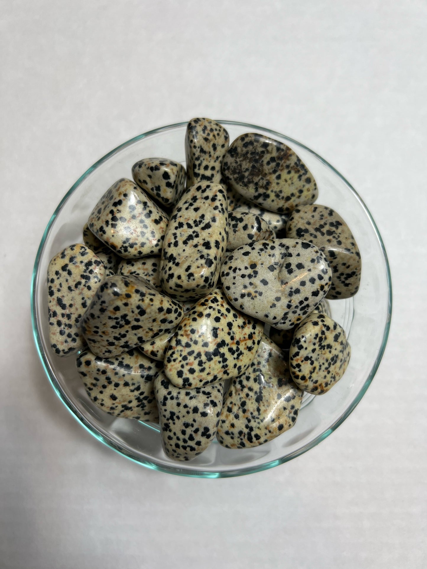 Dalmation Jasper