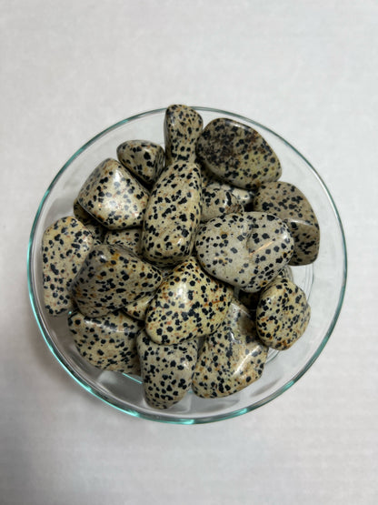 Dalmation Jasper